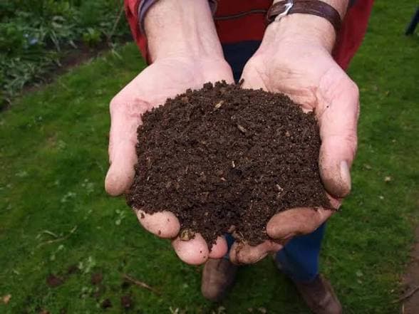 Rich vermicompost soil texture held in hand