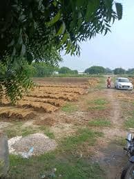 Agricultural field prepared for organic input processing
