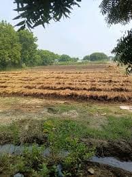CROPUS agricultural field work and processing site