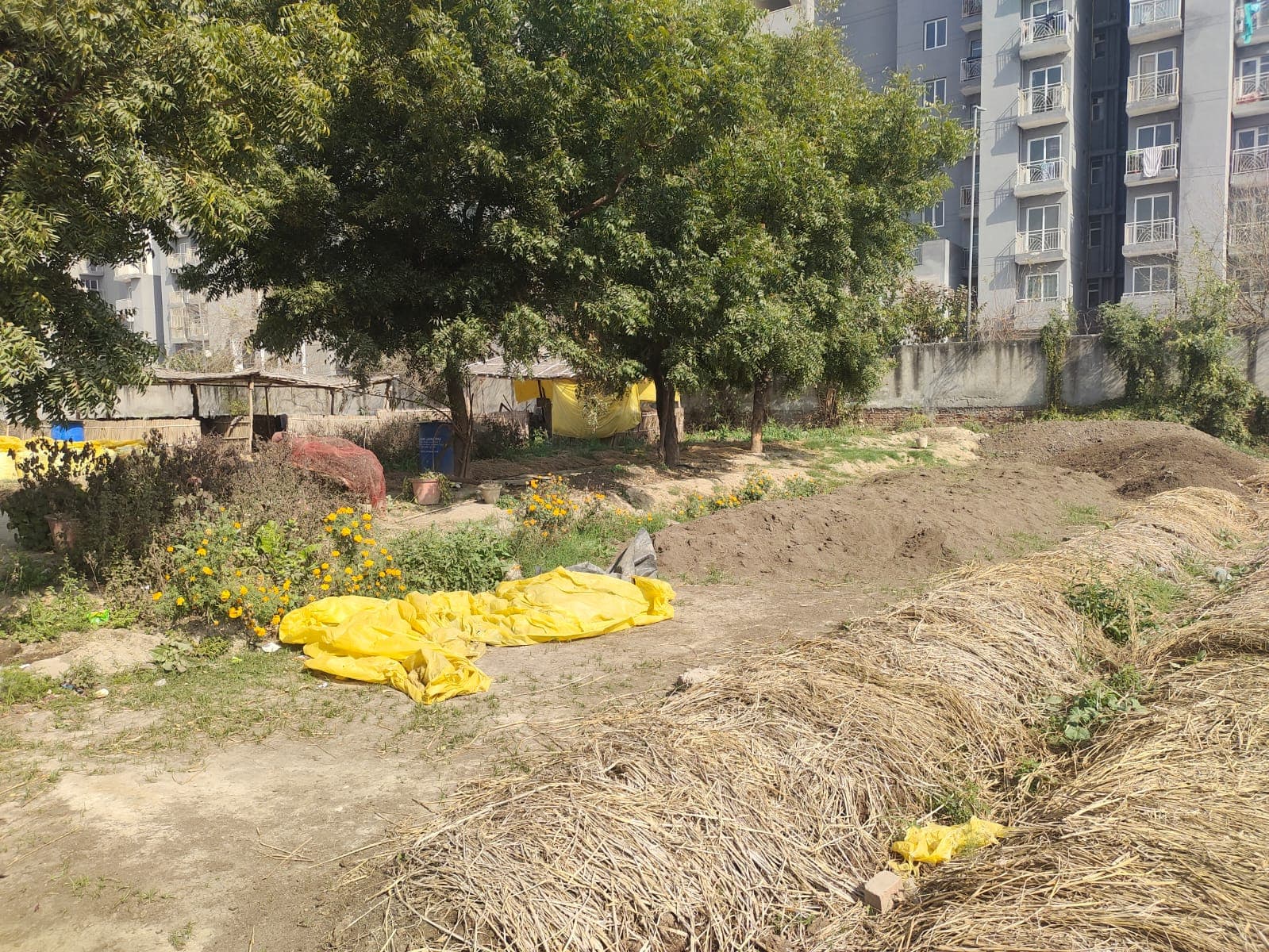 CROPUS vermicompost processing and organic agricultural material
